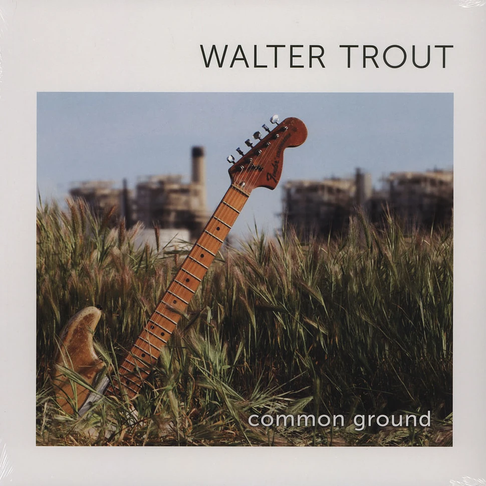 Walter Trout - Common Ground