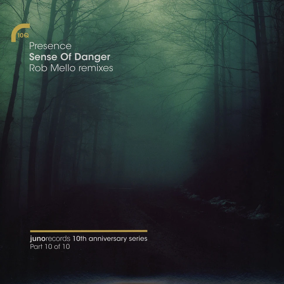 Presence (Shara Nelson & Charles Webster) - Sense Of Danger Rob Mello Remixes