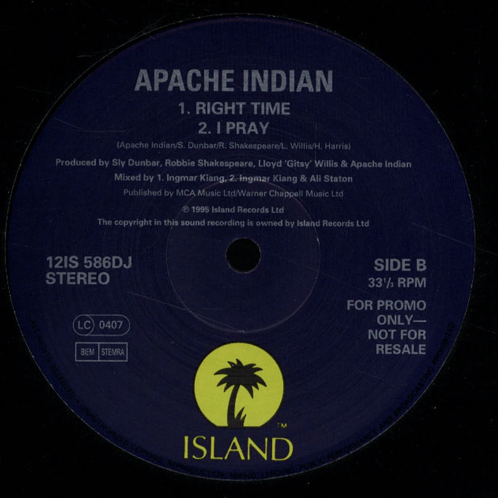 Apache Indian feat. Tim Dog - Make way for the indian