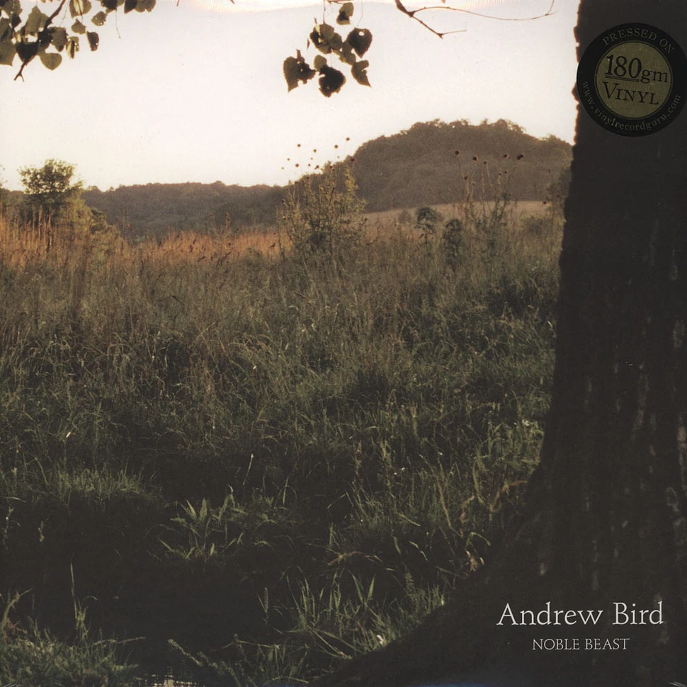 Andrew Bird - Noble Beast