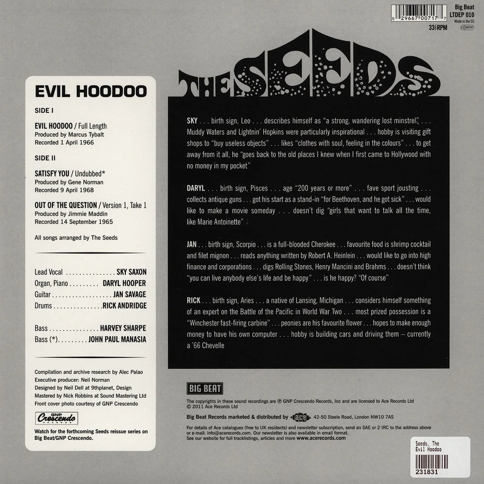 The Seeds - Evil Hoodoo
