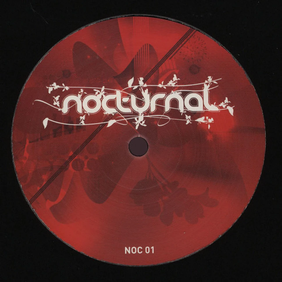 Nocturnal - Sky