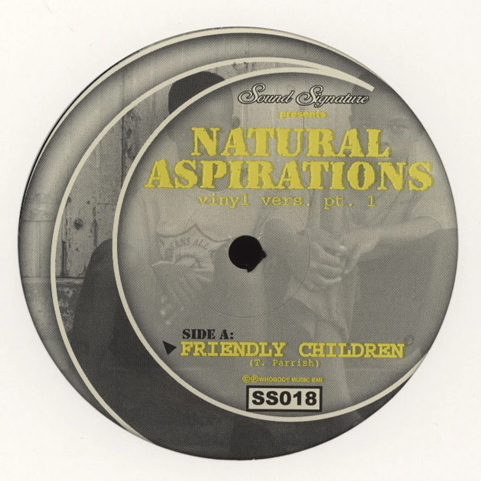 Theo Parrish - Natural Aspirations Vinyl Version Part 1