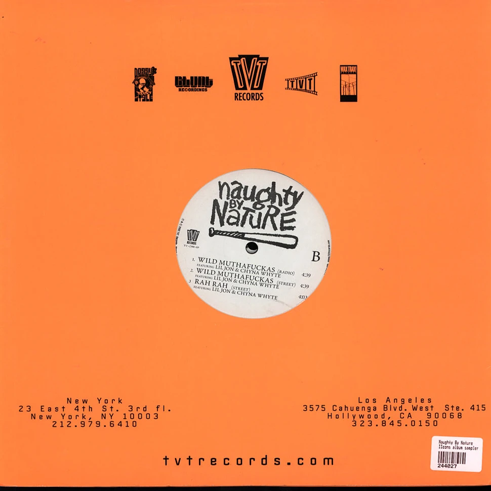 Naughty By Nature - IIcons Album Sampler