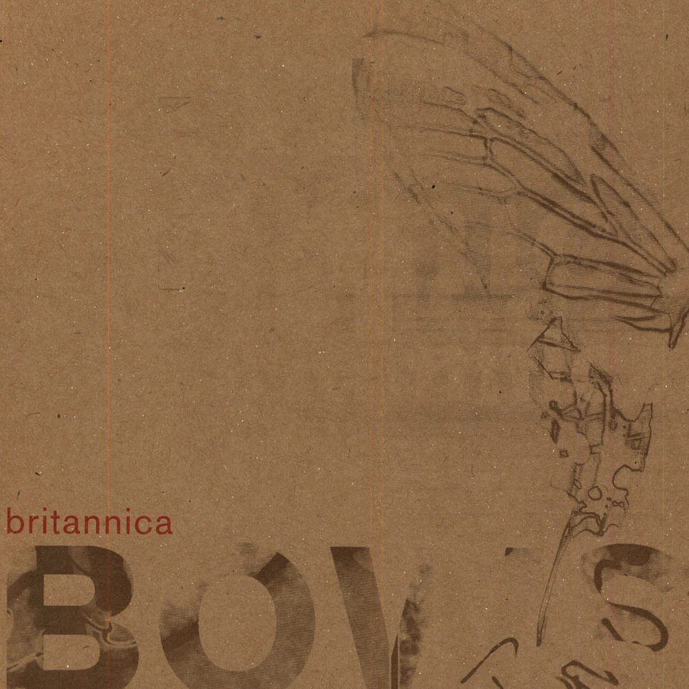 Bows - Britannica