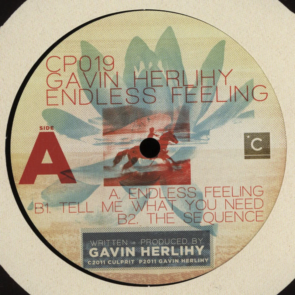Gavin Herlihy - Endless Feeling