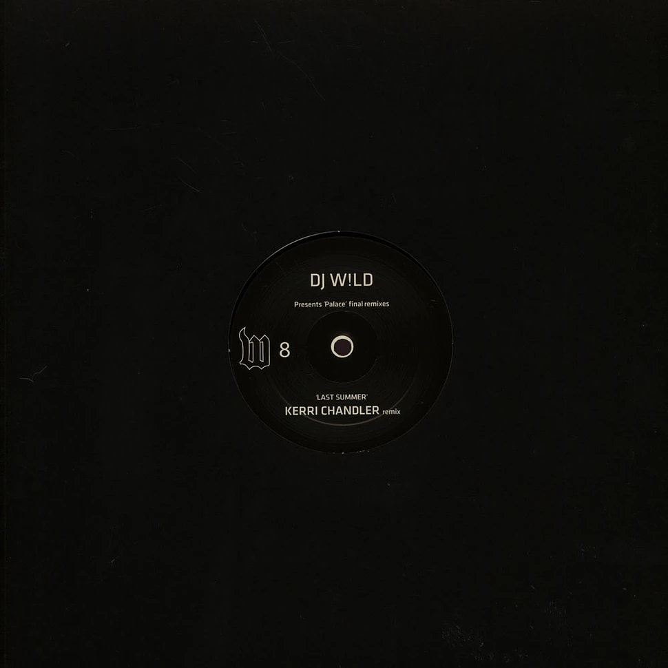 DJ Wild - Album Sampler Kerri Chandler & Art Department remixes