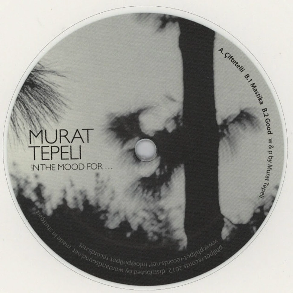 Murat Tepeli - In The Mood For …