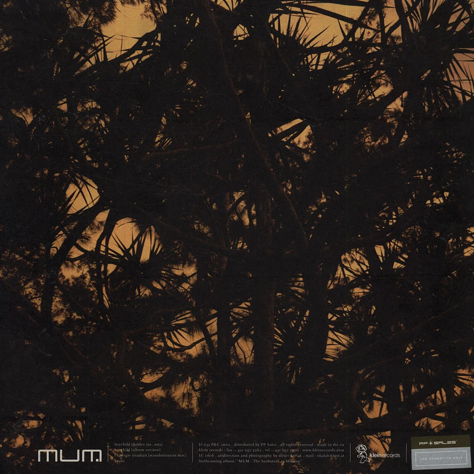 múm - Boychild Remixes