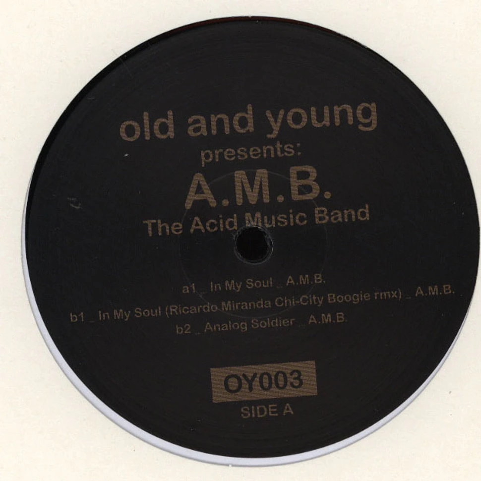 A.M.B. - The Acid Music Band