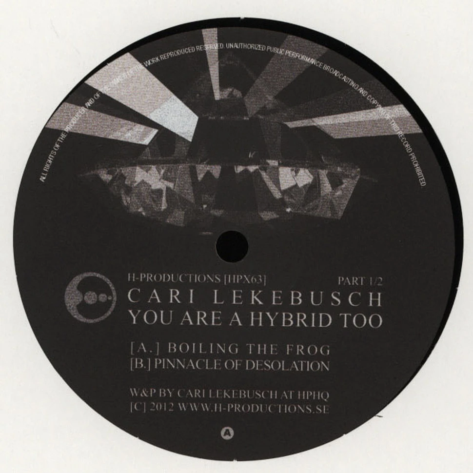 Cari Lekebusch - You Are A Hybrid Too Part 1