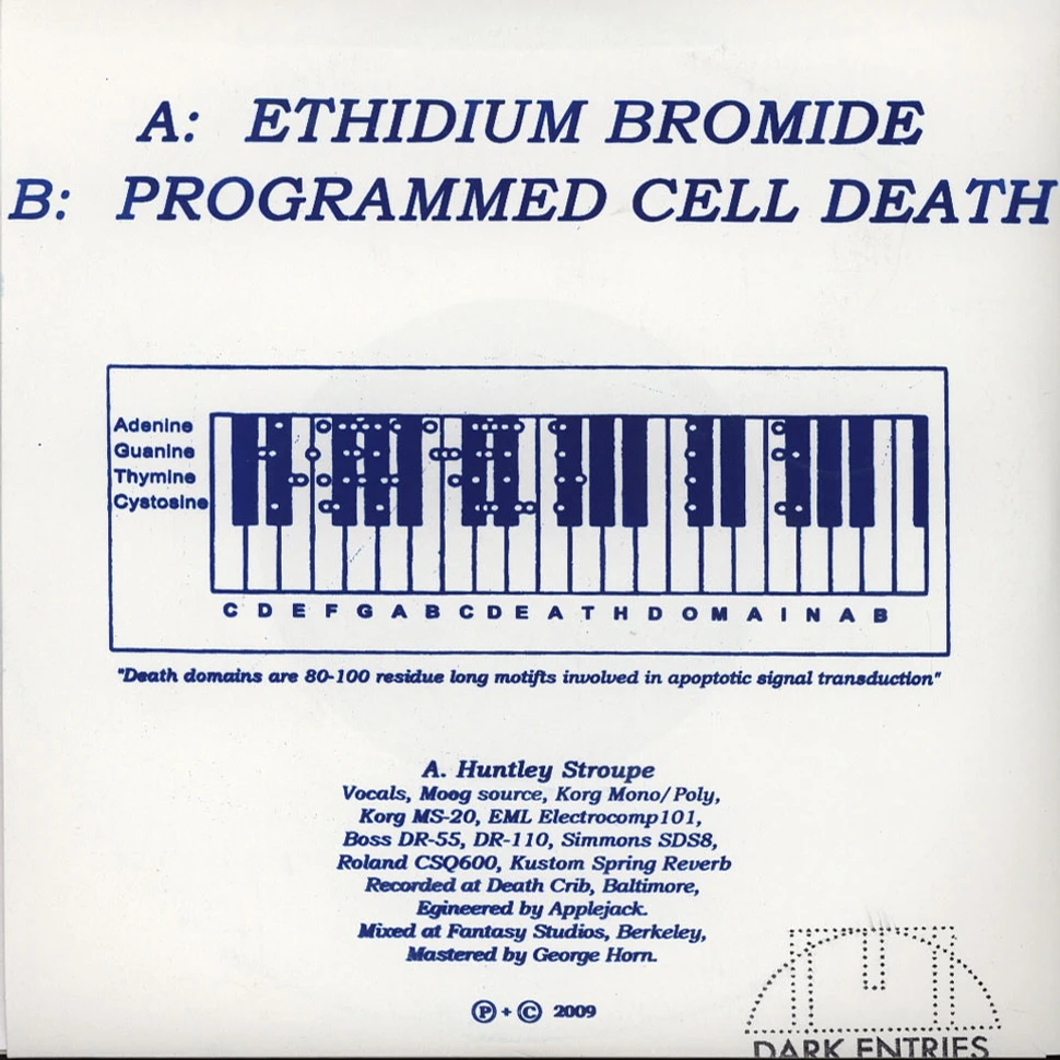 Death Domain - Ethidium Bromide