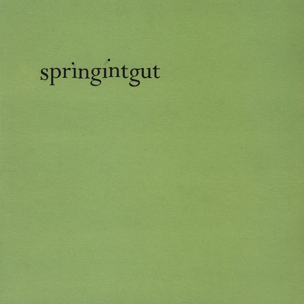 Springintgut (Andi Otto) - Springintgut