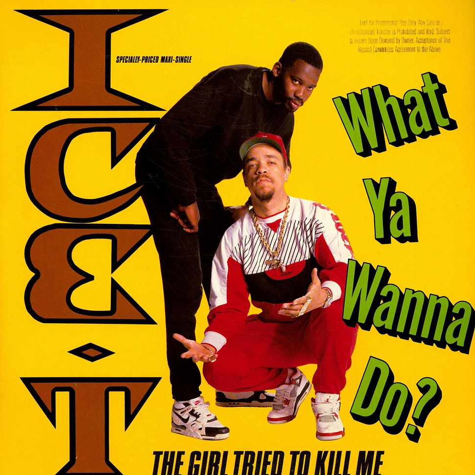 Ice-T - What Ya Wanna Do?