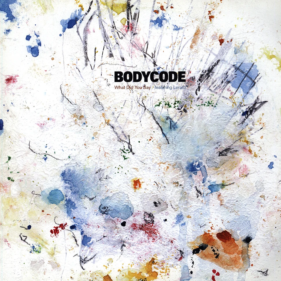 Bodycode - What Did You Say