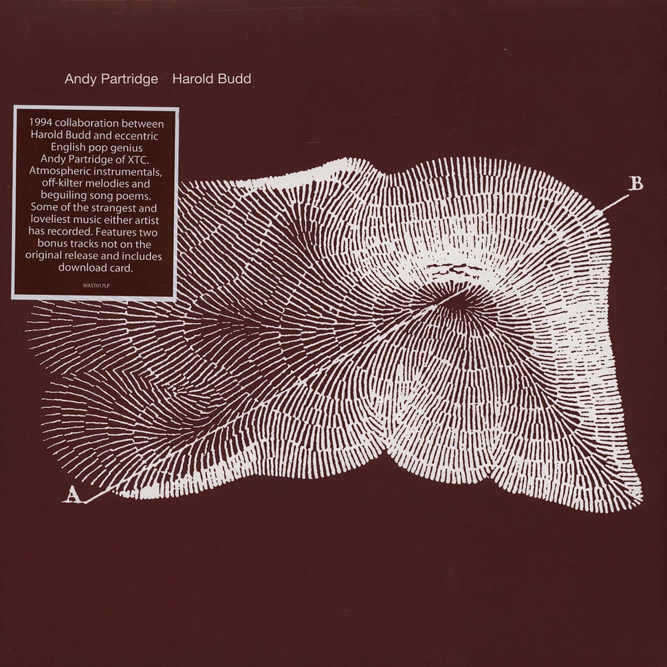 Harold Budd & Andy Partridge - Through The Hill