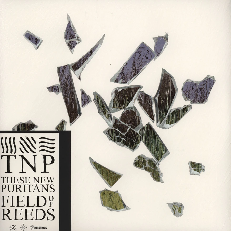 These New Puritans - Field Of Reeds