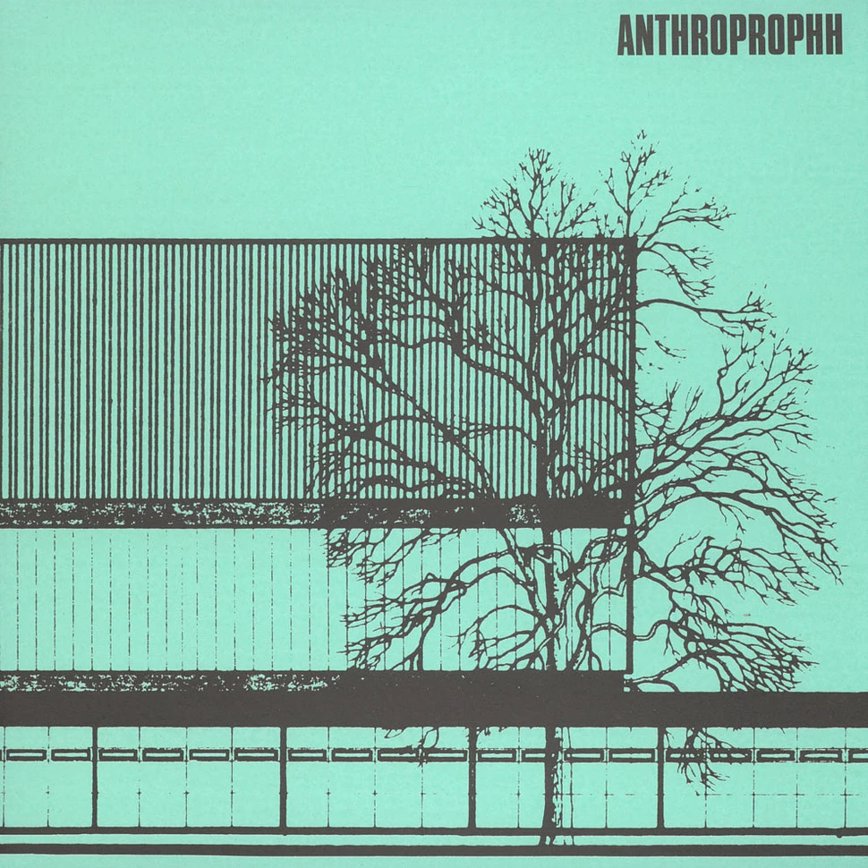 Anthroprophh - Ebbe