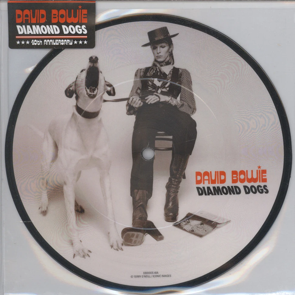 David Bowie - Diamond Dogs 40th Anniversary 7” Picture Disc