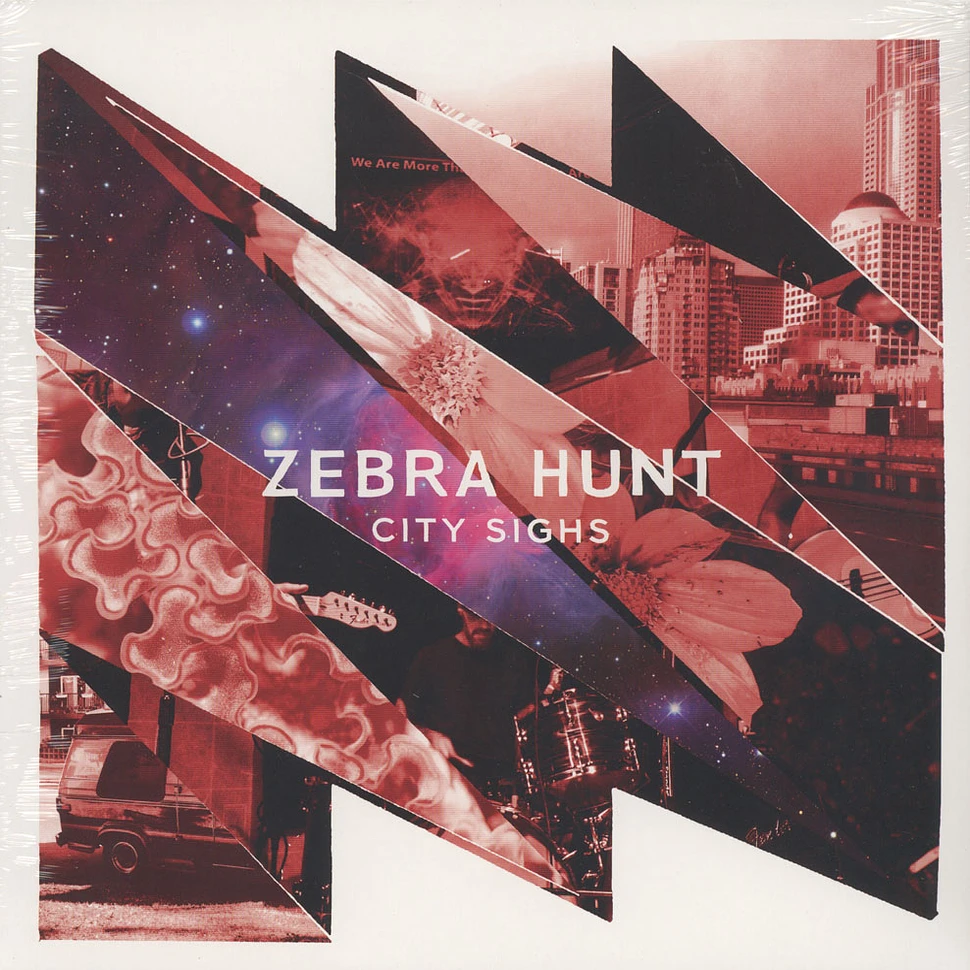 Zebra Hunt - City Sighs