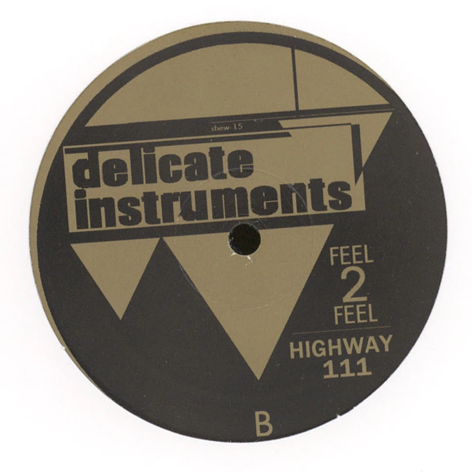 Delicate Instruments - Delicate Instruments EP