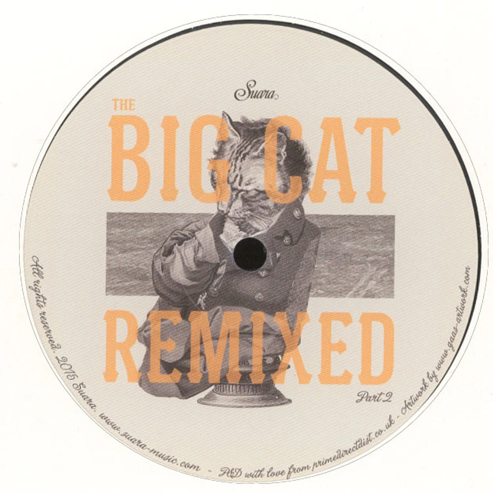 Coyu - The Big Cat Remixed Part 2