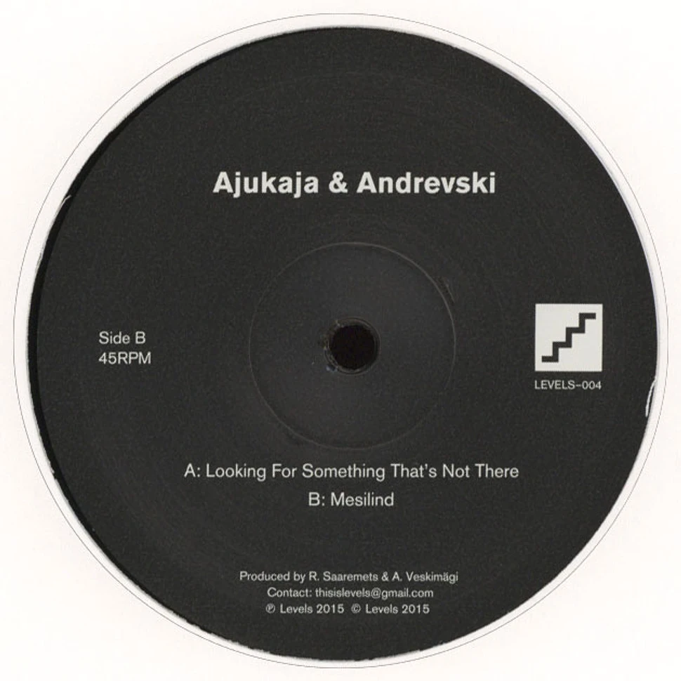 Ajukaja & Andrevski - Looking For Something That’s Not There