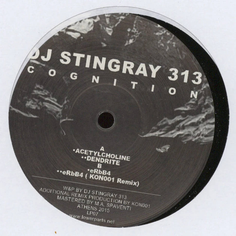 DJ Stingray 313 - Cognition