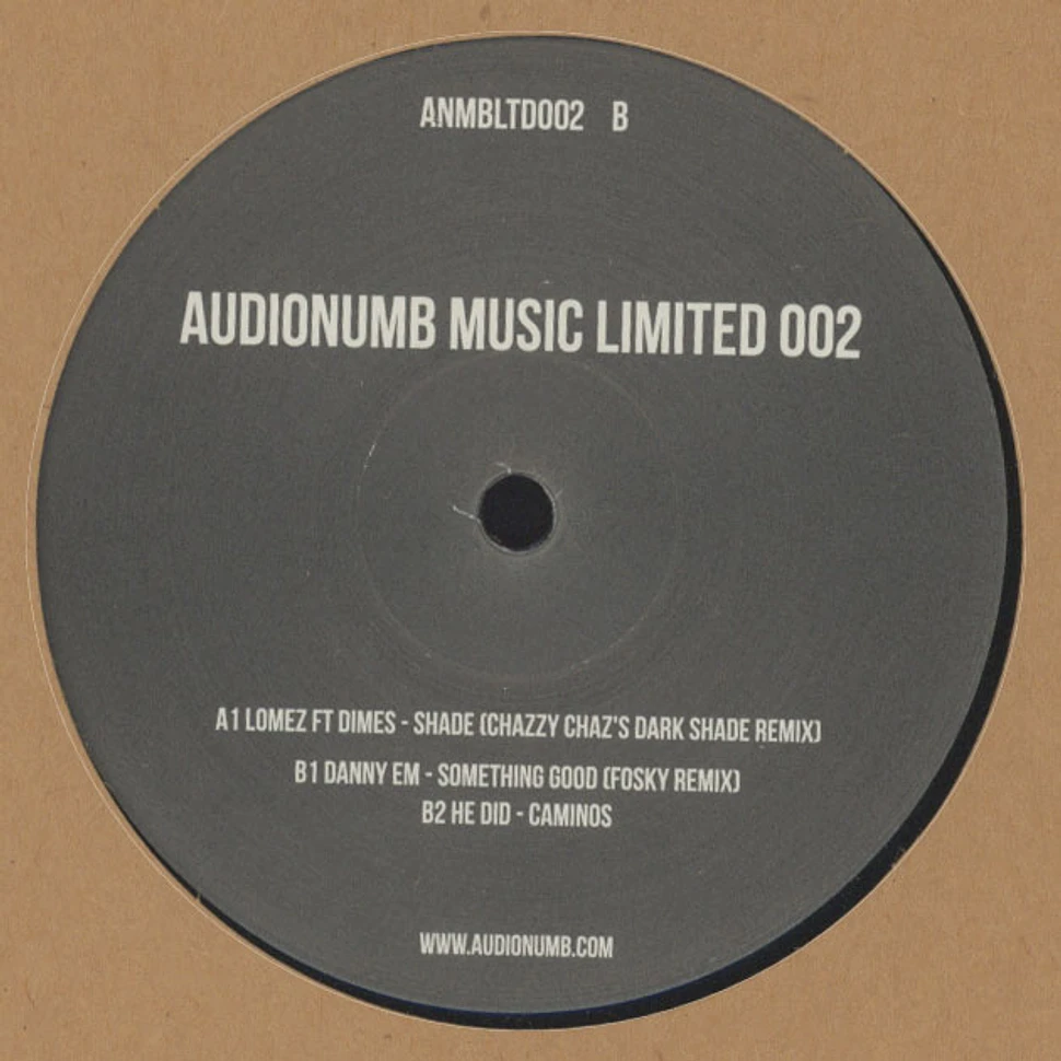 V.A. - Audionumb Music Limited 002