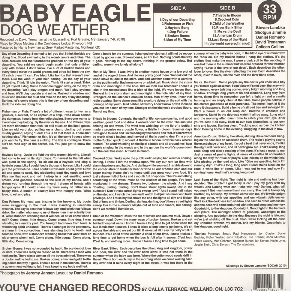 Baby Eagle - Dog Weather