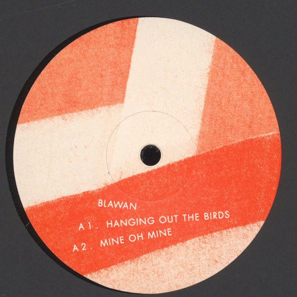 Blawan - Hanging Out The Birds
