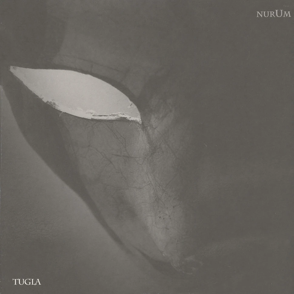 Dubfound - Tugla Sascha Dive Remix