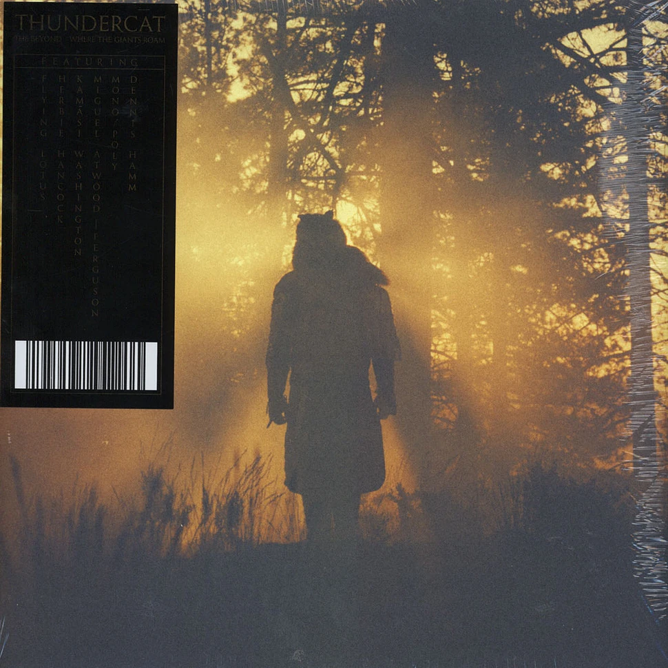 Thundercat - The Beyond / Where The Giants Roam