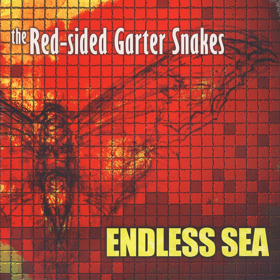 Red-Sided Garter Snakes - Endless Sea