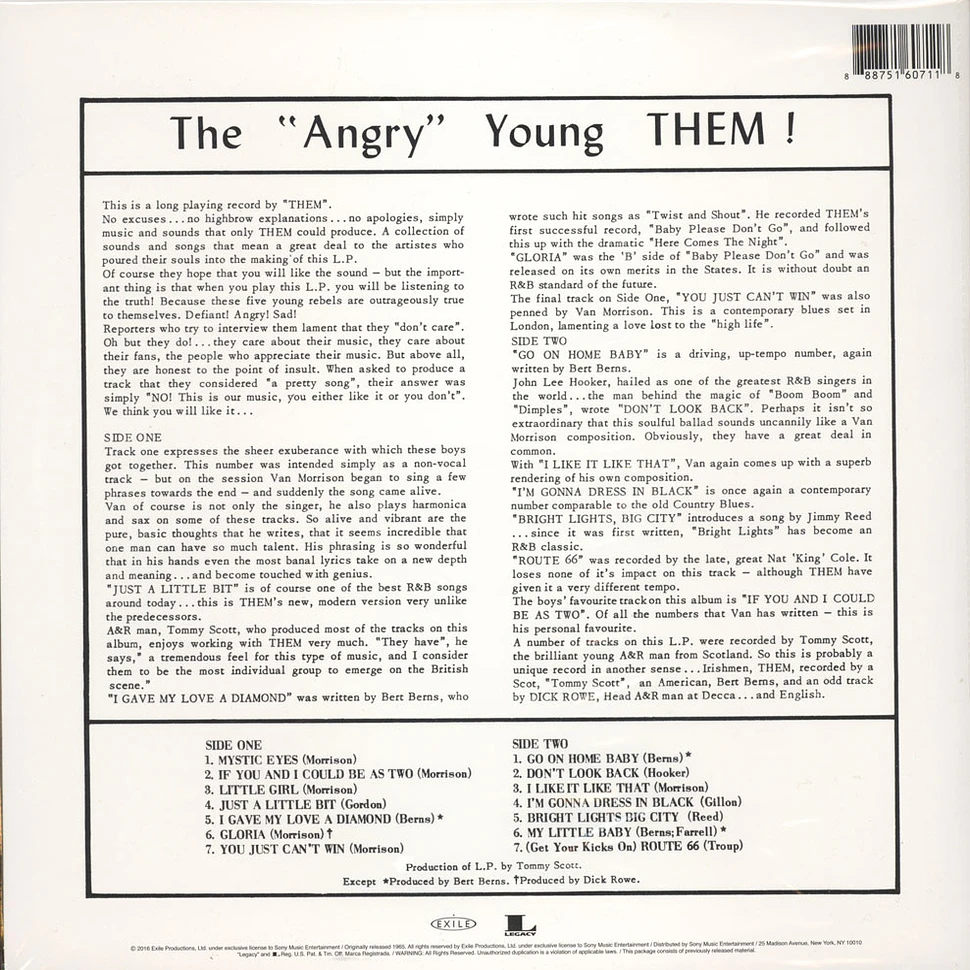 Them - The Angry Young Them