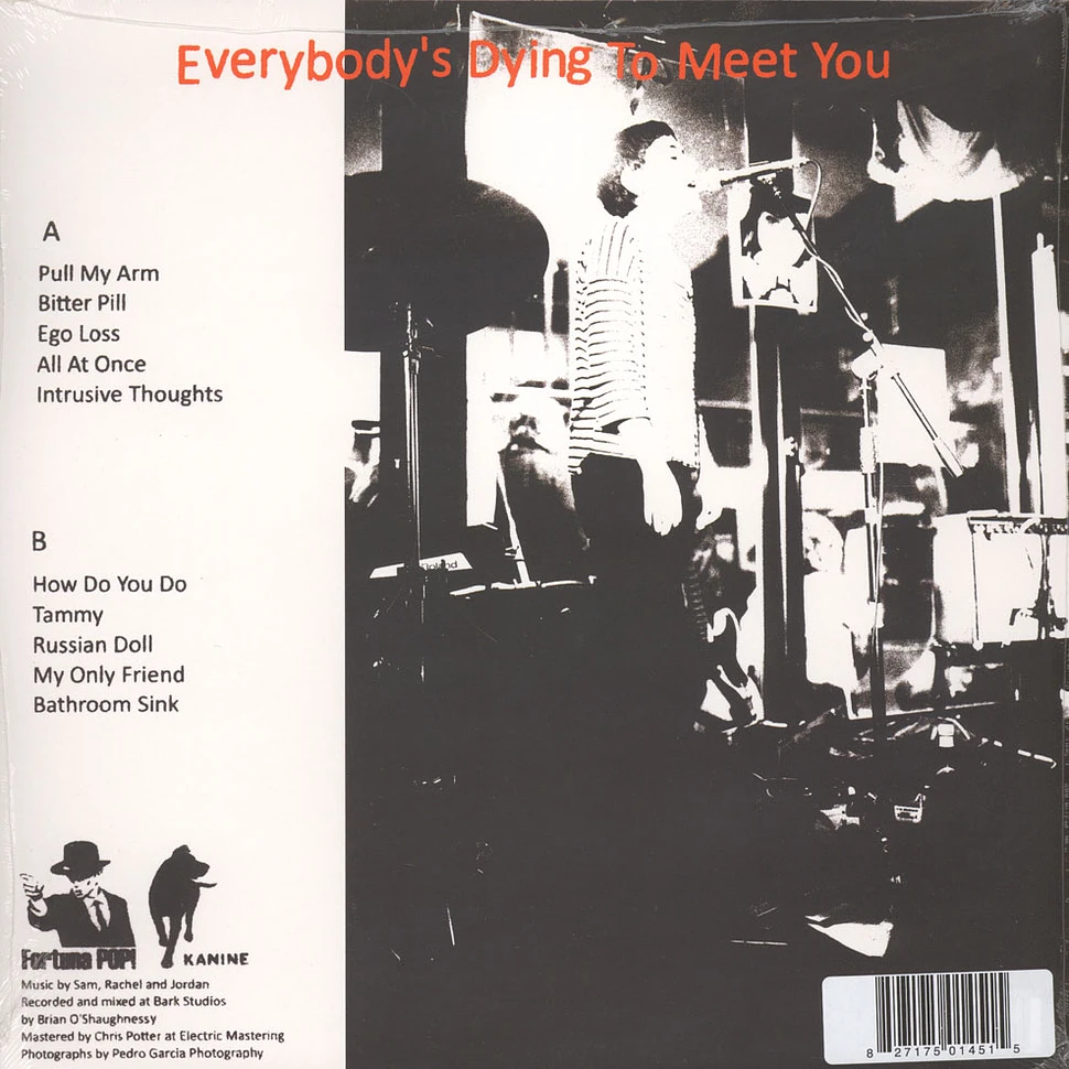 Flowers - Everybody's Dying To Meet You