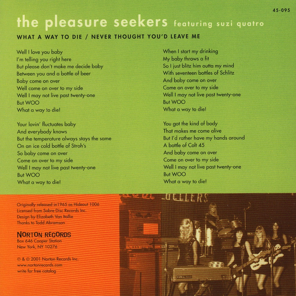 Pleasure Seekers - What A Way To Die / Never Thought...