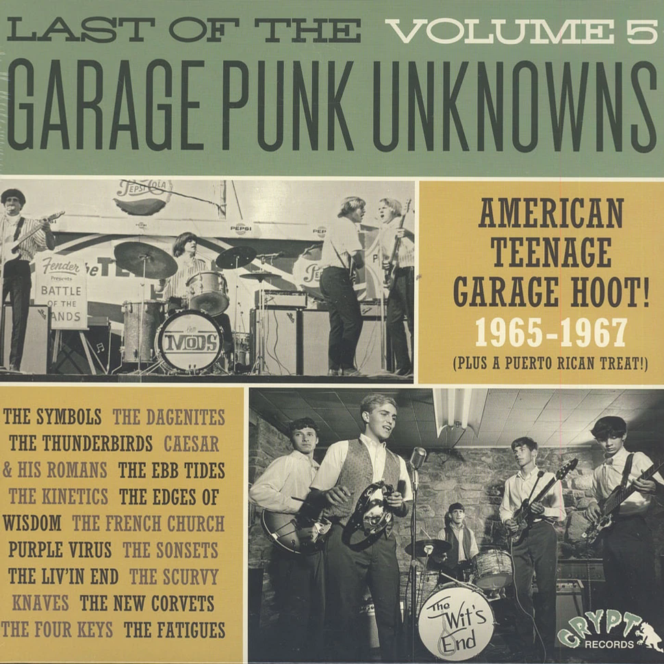 V.A. - Last Of The Garage Punk Unknowns Volume 5