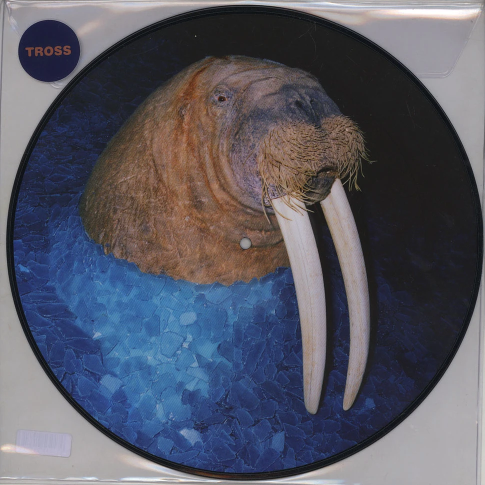 Tross - The Walrus EP