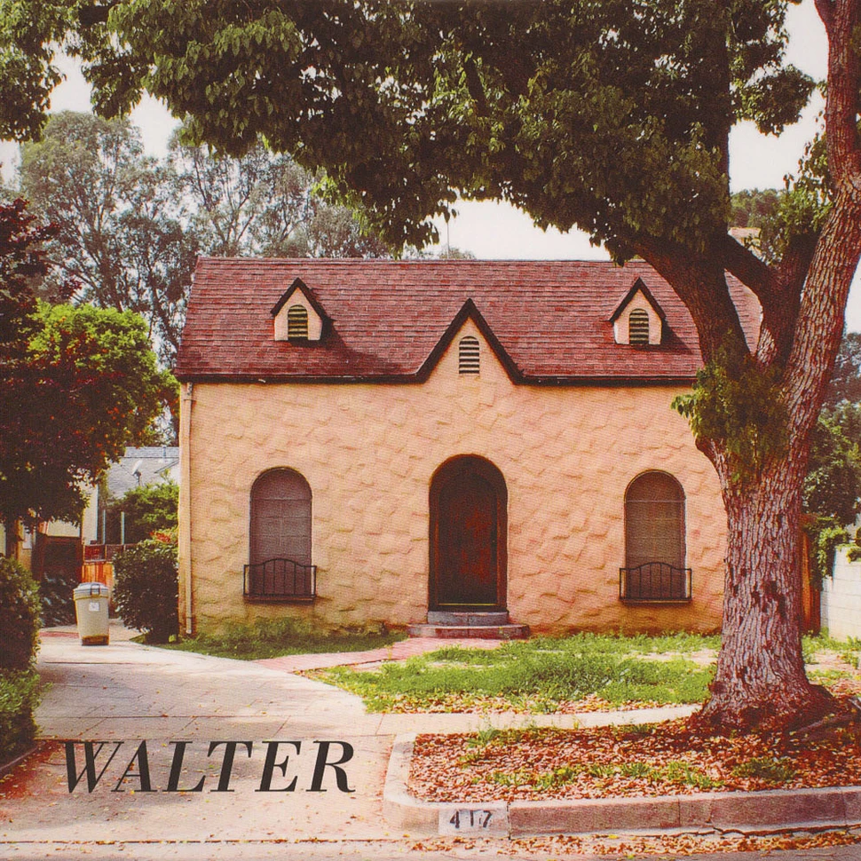 Walter - Poetics Of Space / Like The Fly