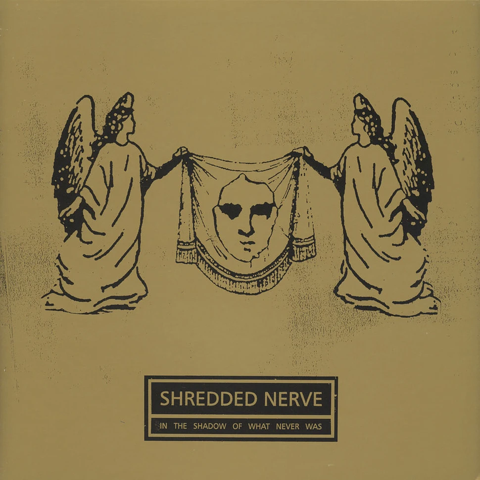 Shredded Nerve - In The Shadow Of What Never Was