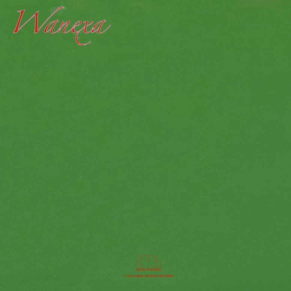 Wanexa - The Man From Colours