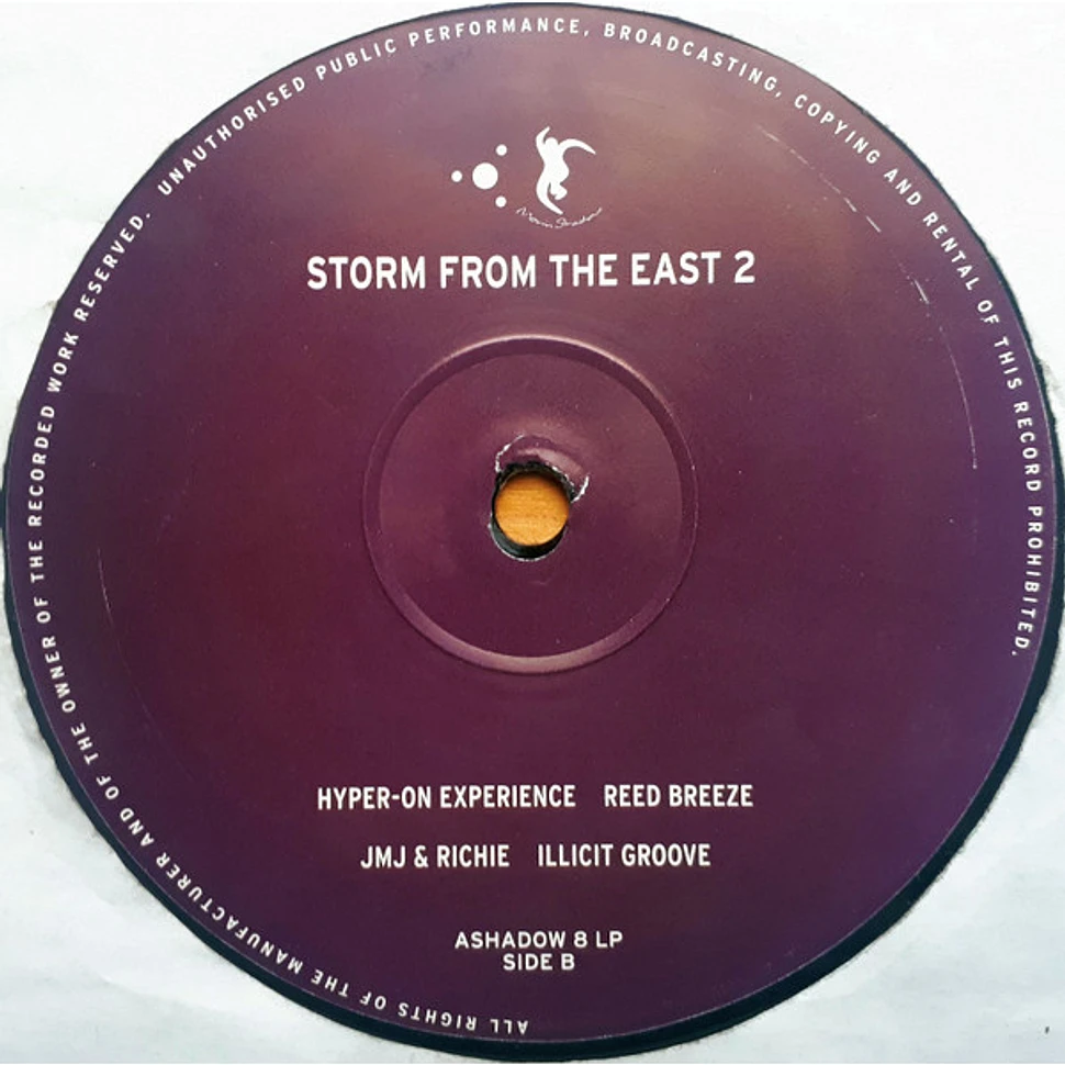 V.A. - Storm From The East 2