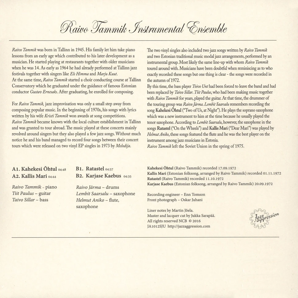 Raivo Tammik Instrumental Ensemble - Raivo Tammik Instrumental Ensemble