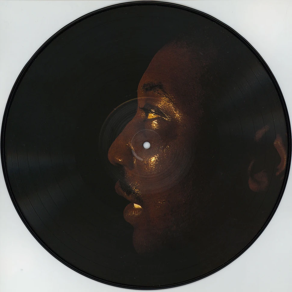Muddy Waters - The Best Of Muddy Waters Picture Disc