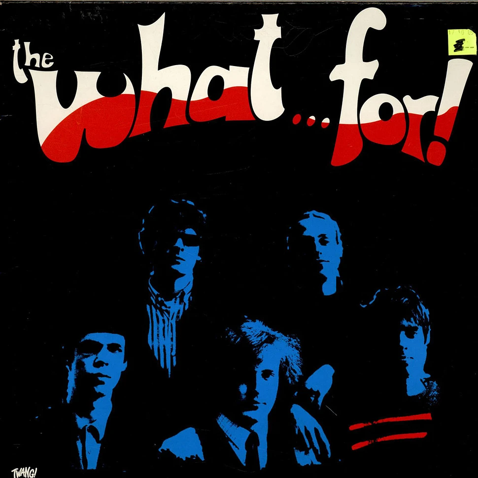 The What...For! - The What...For!