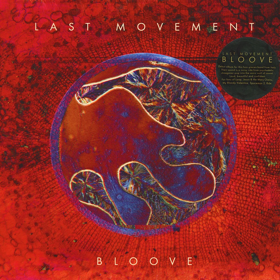 Last Movement - Bloove