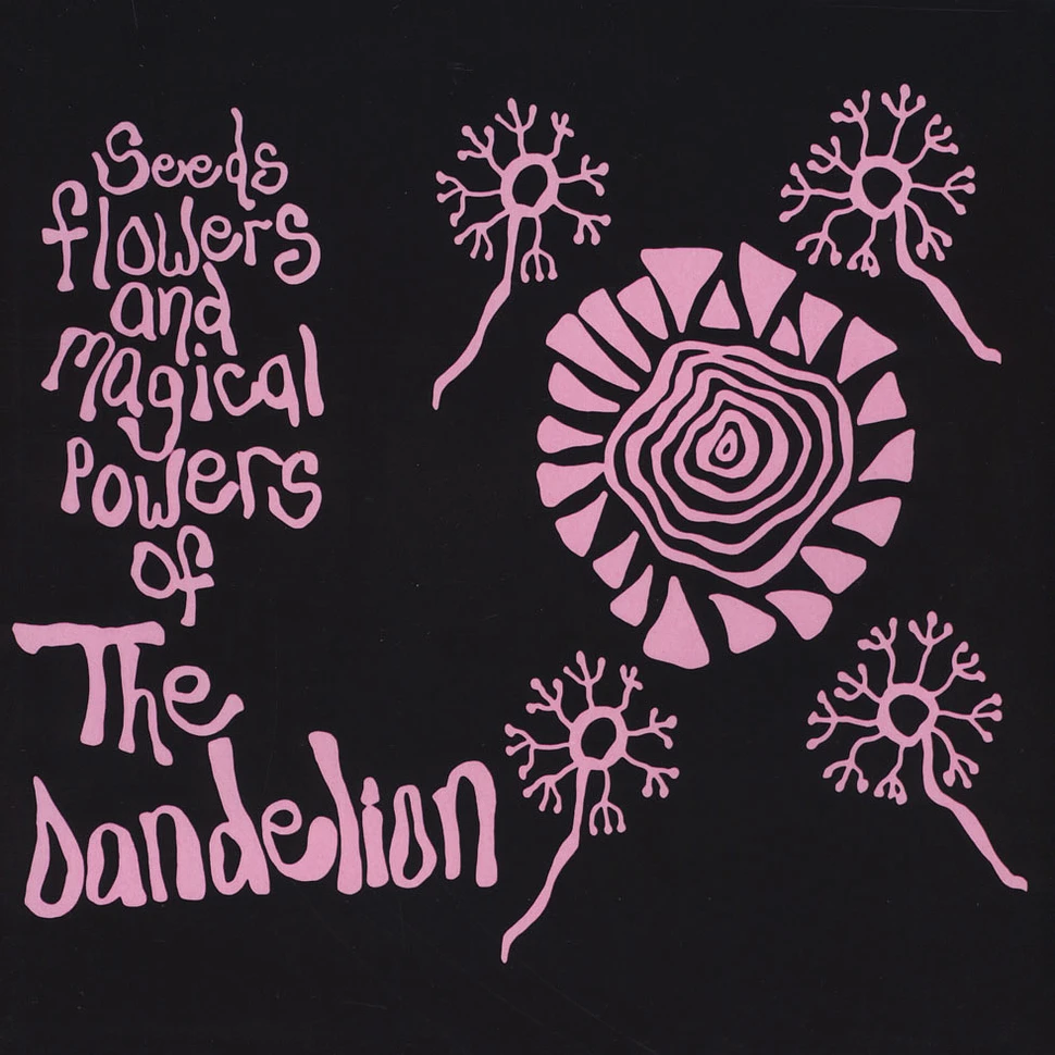 Dandelion - Seeds Flowers And Magical Powers Of The Dande