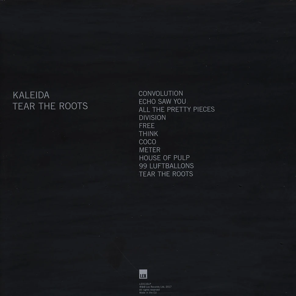 Kaleida - The The Roots