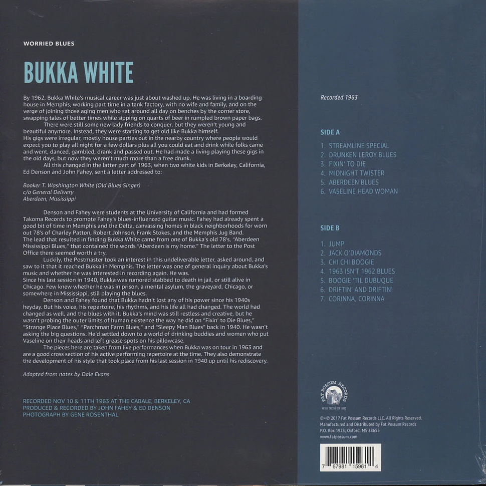 Bukka White - Worried Blues